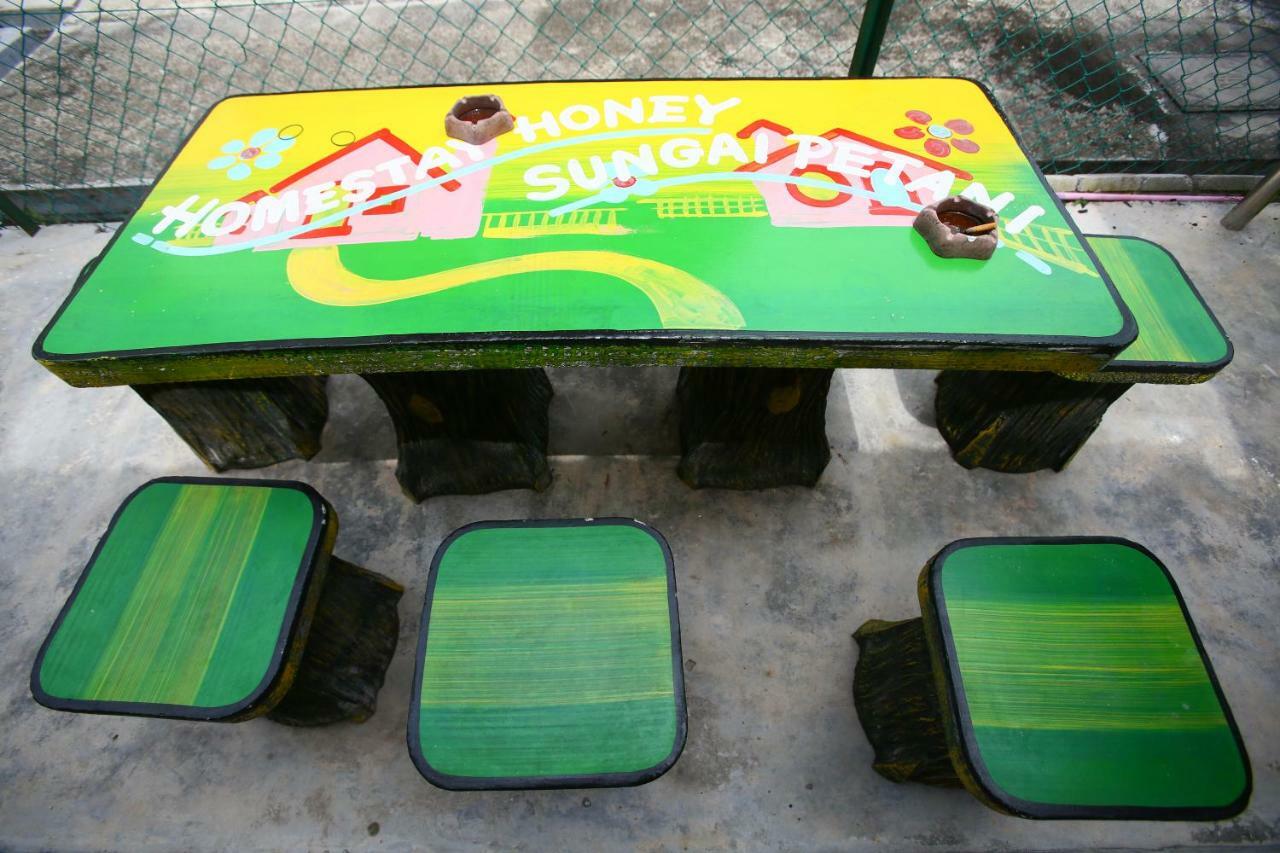 Homestay Honey سونغاي بيتاني المظهر الخارجي الصورة